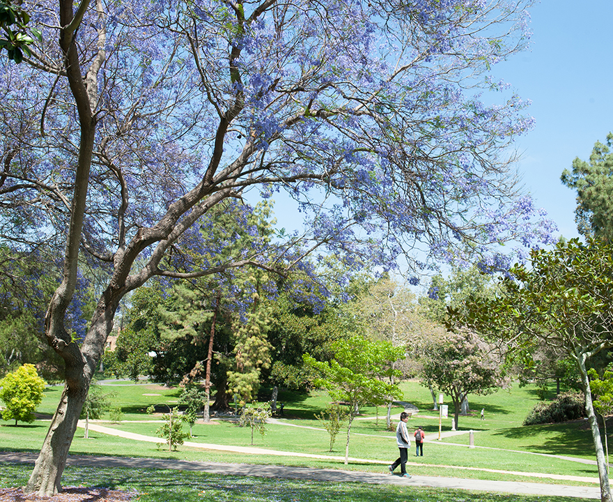 UCI green campus