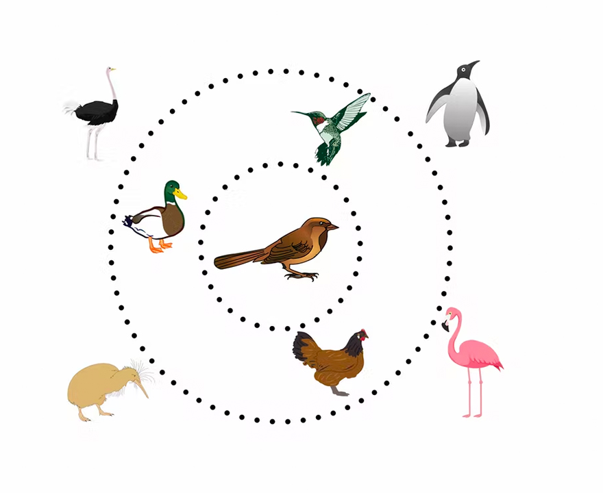 This representation of radial categories shows that the prototypical bird for most Americans is a sparrow, and that while ostrich legs are bird parts, they aren’t part of every bird.